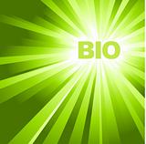BIO / ECO / organic poster