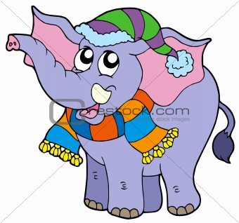 Elephant in winter clothes