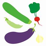 fully editable vector illustration of vegetables with details ready to use