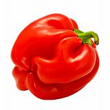 Red pepper (with clipping path)