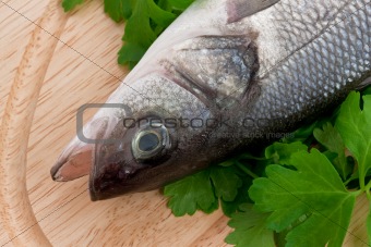 seabass with herbs on the Cutting Board 
