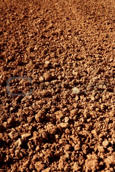 Clay red agriculture textured soil