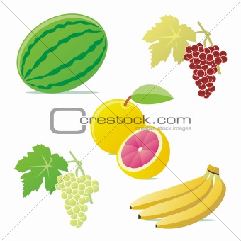 fully editable vector vector fruits with details ready to use