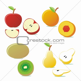 fully editable vector vector fruits with details ready to use