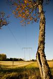 Electricity pylon in the fall
