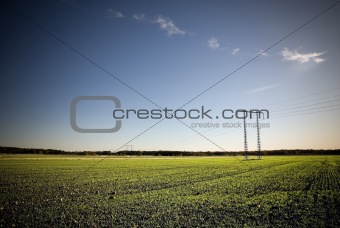 Electricity pylon on field