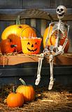 Colorful pumpkins and skeleton on bench