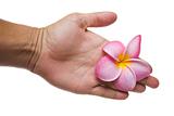 Handshake with Pink Flower