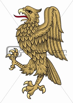 Gold eagle vector
