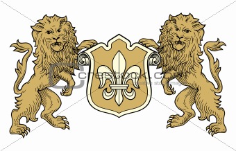 Coat of arms lions vector