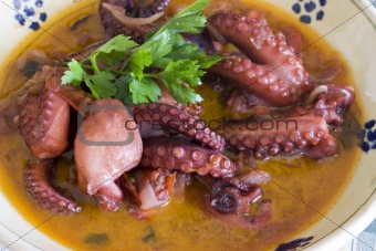 Octopus fresh food