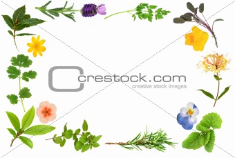 Flower and Herb Leaf Border