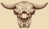 Bison Skull
