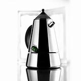 Stylish coffee pot and a green bug on it