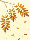 illustration of autumn tree branch