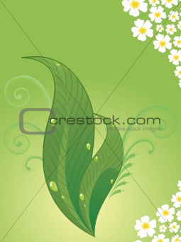 background with leaves, blossoms