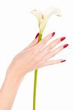 Beautiful nails and fingers with flower
