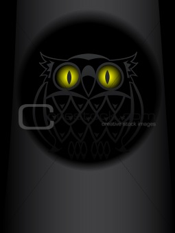 Shone eyes of an owl