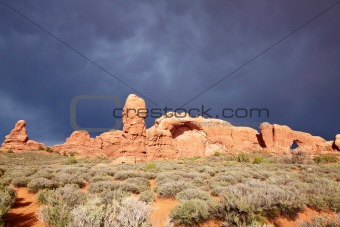 Desert after the Storm
