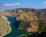 Douro Vineyards by the River