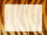 Grunge frame - fur of a tiger