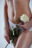 Wet body, white rose