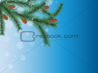 Winter background with a fir tree.