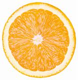 Orange section