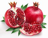 pomegranate on a white background