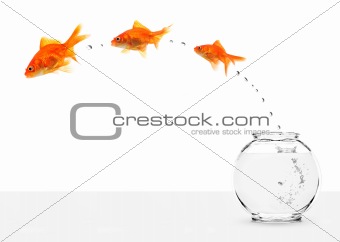 three goldfishes escaping from fishbowl