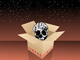 isolated cardboard box in skull