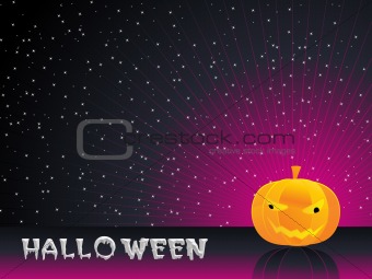 isolated pumpkin with background