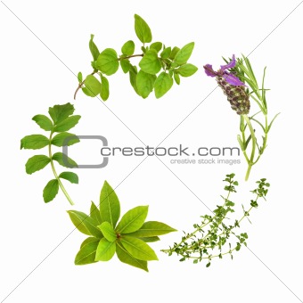 Herb Leaf Garland