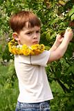 The boy breaks flowers from a branch