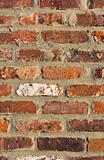 Brick Wall - Portrait Background