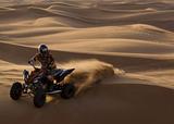 Desert Ranger in Action