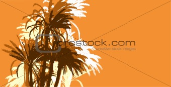 palms trees background