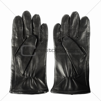 New gloves