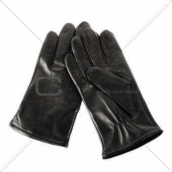 New gloves