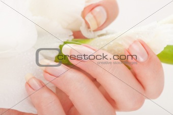 Beautiful nails and fingers