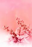 Beautiful pink background with flowers 