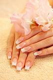 Hands of young woman with french manicure