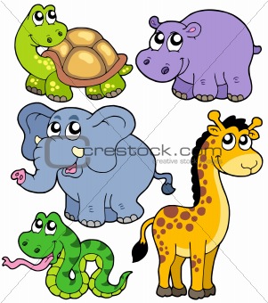 African animals collection 4