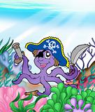 Pirate octopus underwater