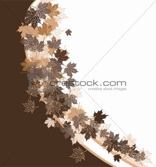 Autumn frame: maple leaf. Place for your text here.