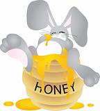 Honey Bunny 