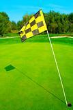 Golf flag on a green
