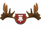 hunting trophy - horns