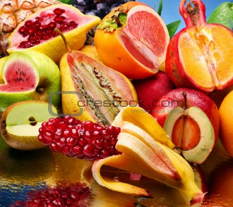 the modified fruits