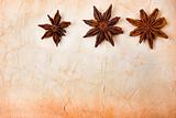 Star Anise Paper